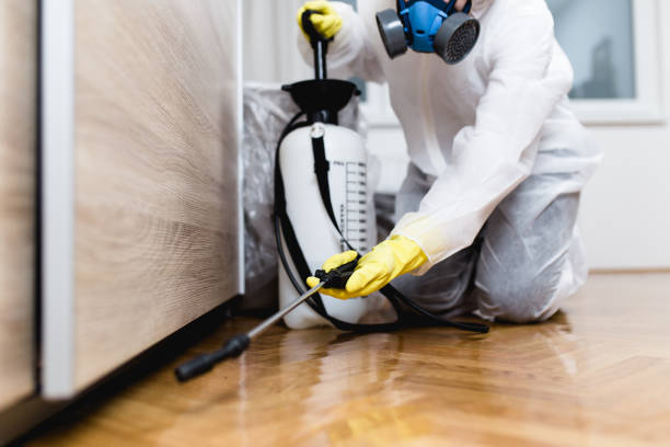 Best Pest Control Near Me  in Blue Ash, OH