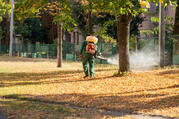 Best Residential Pest Control  in Blue Ash, OH