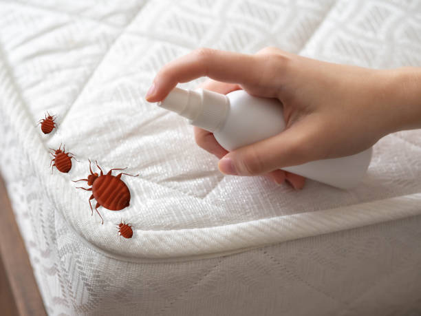 Best Flea Control Services  in Blue Ash, OH