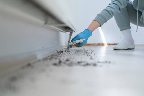 Best Pest Removal Services  in Blue Ash, OH