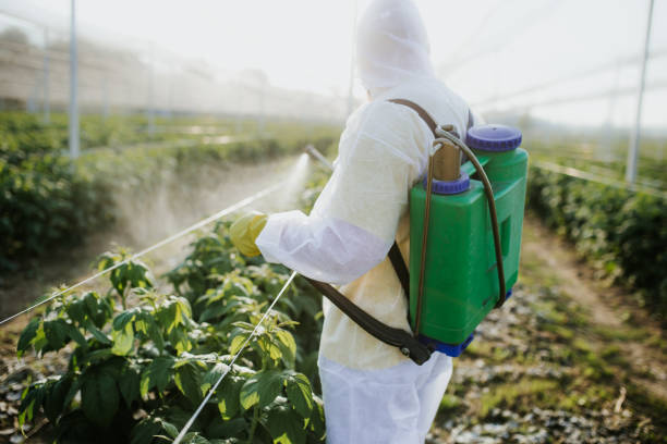 Best Best Pest Control Companies  in Blue Ash, OH